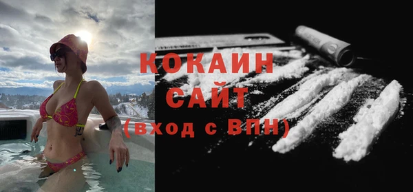 стаф Алексин