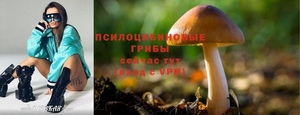 твердый Абинск