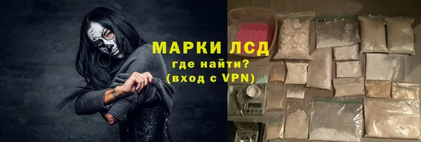 стаф Алексин
