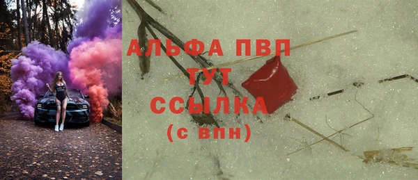 стаф Алексин